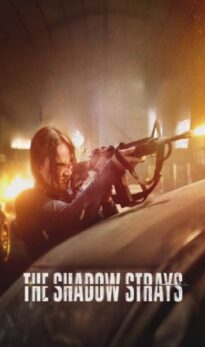 The Shadow Strays Dual Audio HDRip