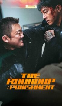 The Roundup: Punishment Dual Audio HDRip